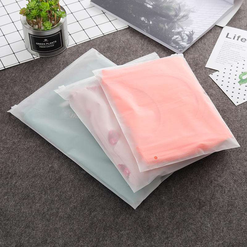 Transparent Frosted Zipper Bag